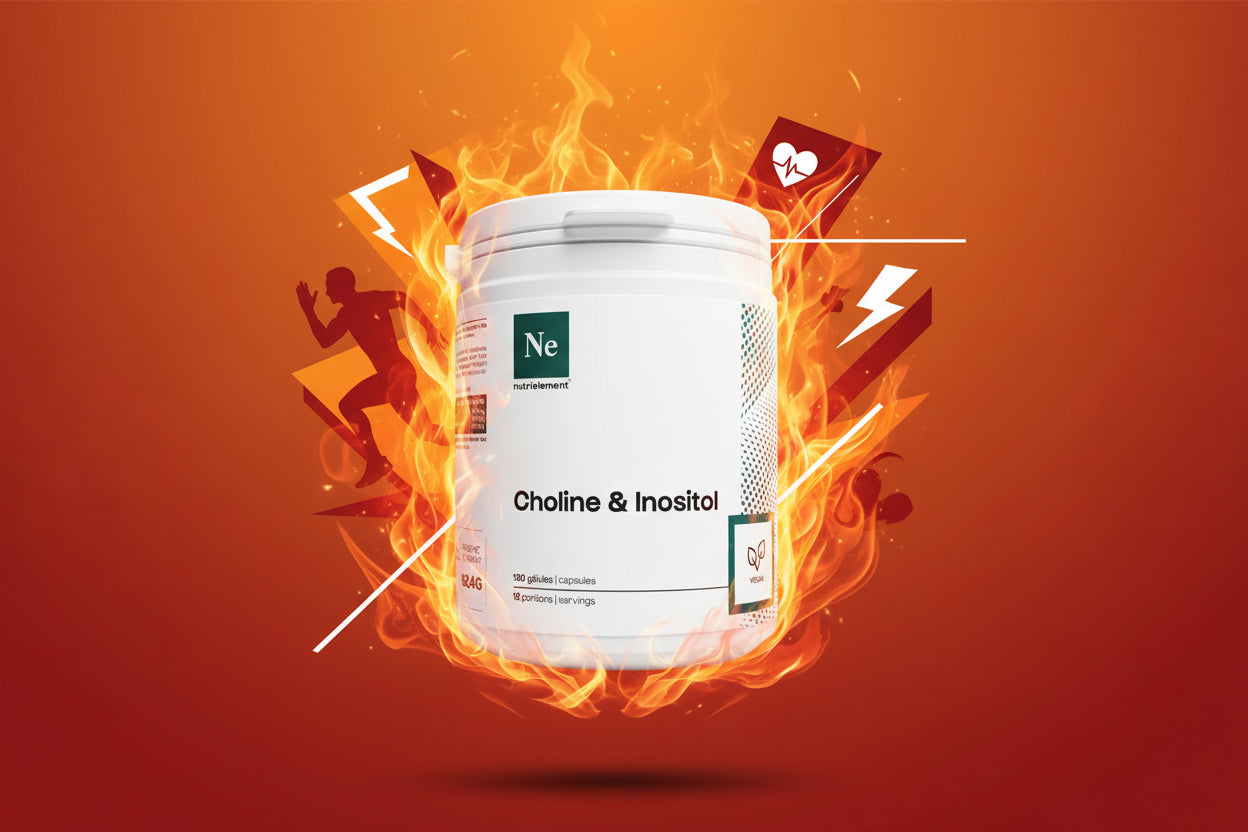 Brûleur De Graisses 120 caps Nutrimuscle